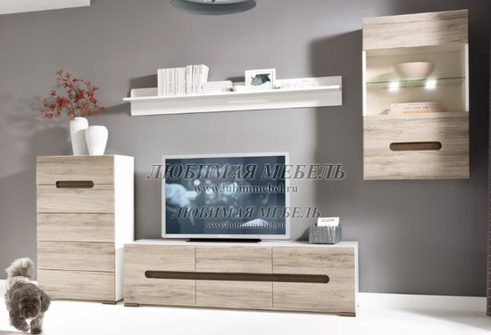 ����� �� ������ (����, ��� 4)